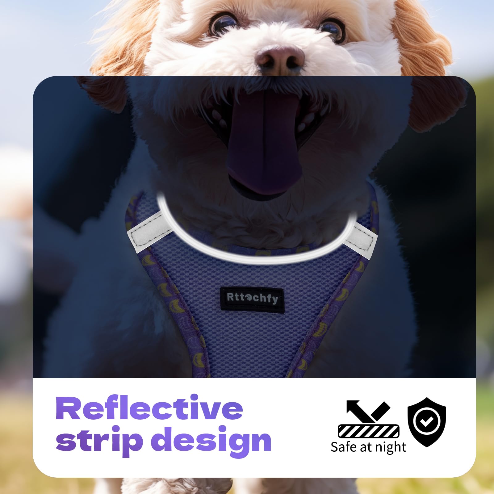 Rttochfy Arnés para perro pequeño, suave y reflectante, arnés y correa para perros de tamaño pequeño, adiestramiento y paseo (morado S)