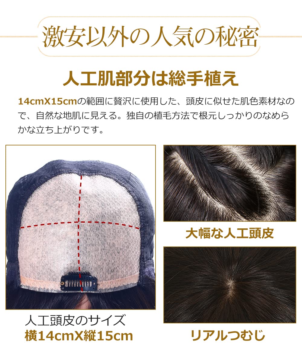 Amazon.co.jp: HIYE(海曄) 医療用ウィッグ 人毛100％ リアル人工頭皮
