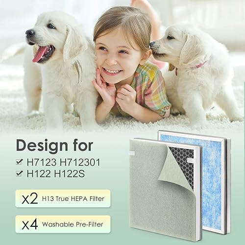 Miniatura 3 de H7123101 H21 H211S - Filtro de repuesto compatible con filtro de repuesto para purificador de aire Govee para H7123101 y Homvana H211 H211S, filtro