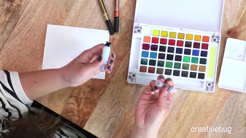 Amazon.com: SAKURA XNCW-48N Koi Watercolor Field 48 Color Sketch Set