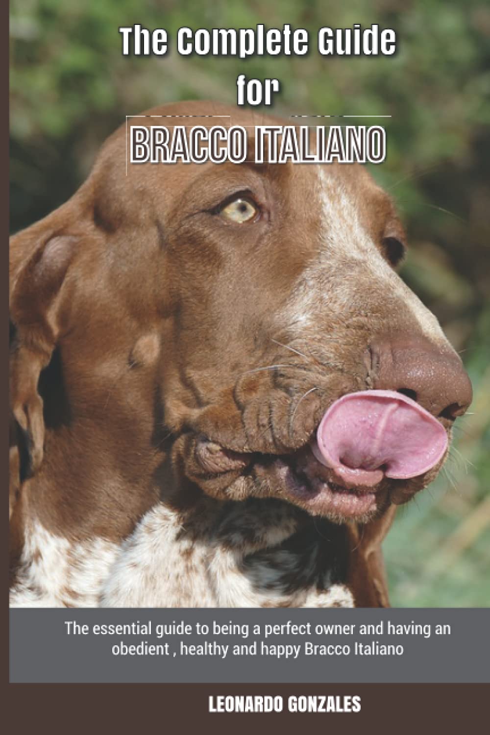 The Complete Guide for Bracco Italiano: The essential guide to being a perfect owner and having an obedient, healthy, and happy Bracco Italiano