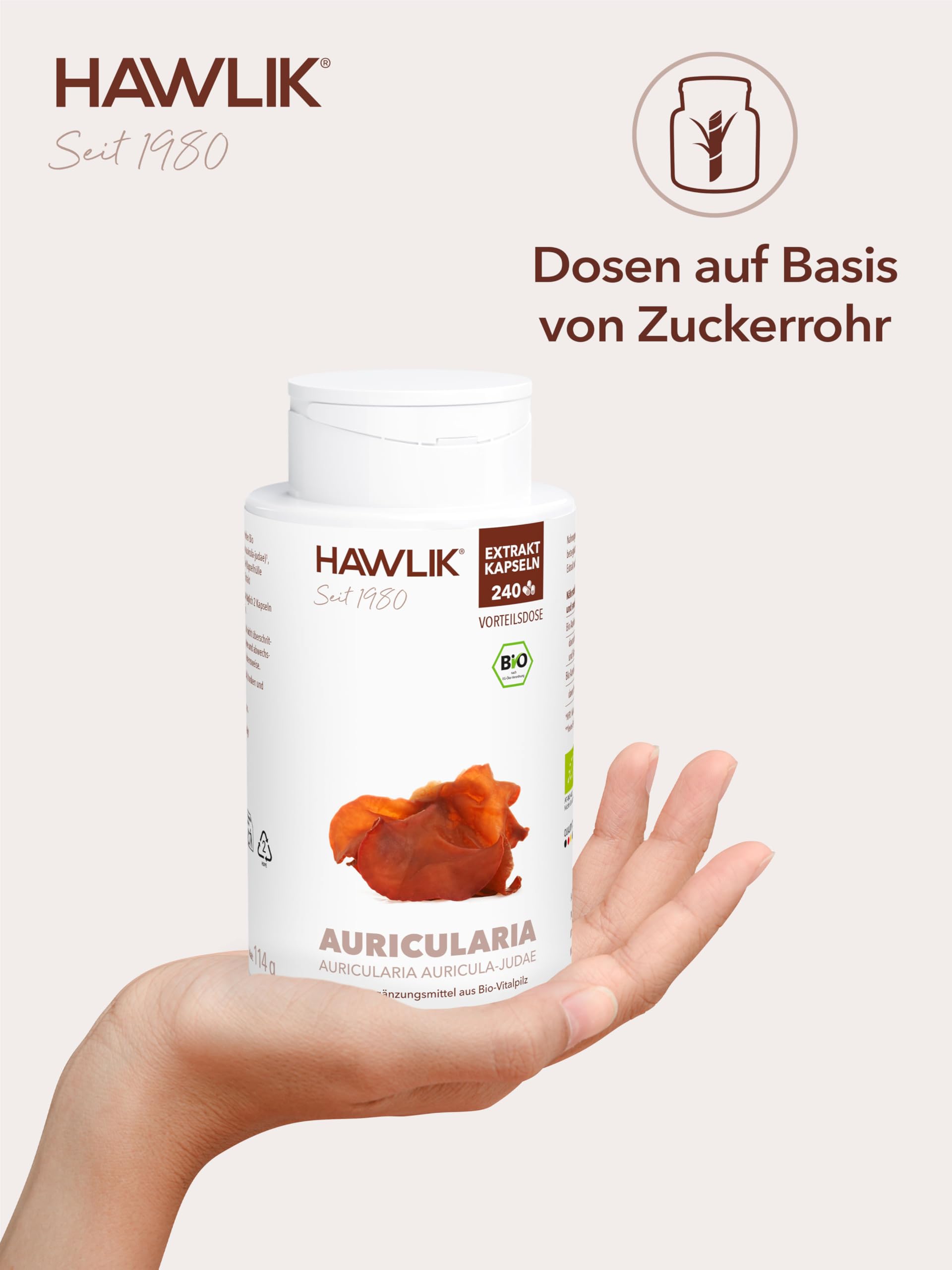 HAWLIK Vitalpilze Auricularia Extrakt Kapseln - 240 Kapseln - Mit Vitamin C - Natürlicher Anbau - Vegan - Zuckerrohr-Dose