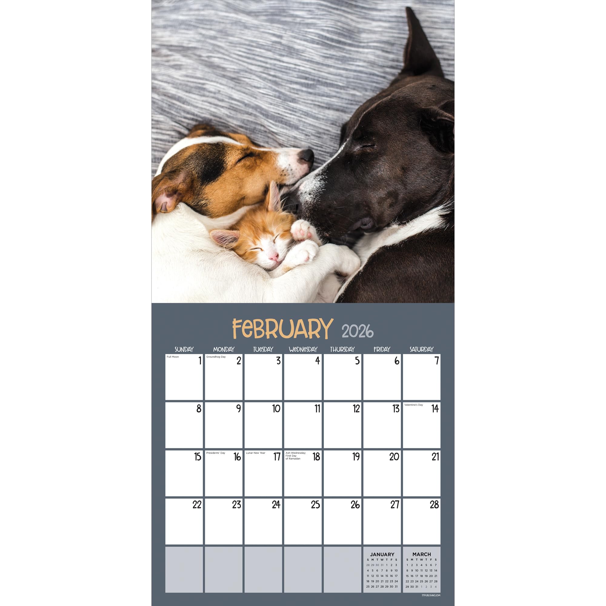 TF Publishing 2026 Furry Friends Wall Calendar - Large Grids for Appointments and Scheduling - Vertical Monthly Wall Calendar 2026 with Premium Gloss Paper for Home and Office Organization - 12x12in