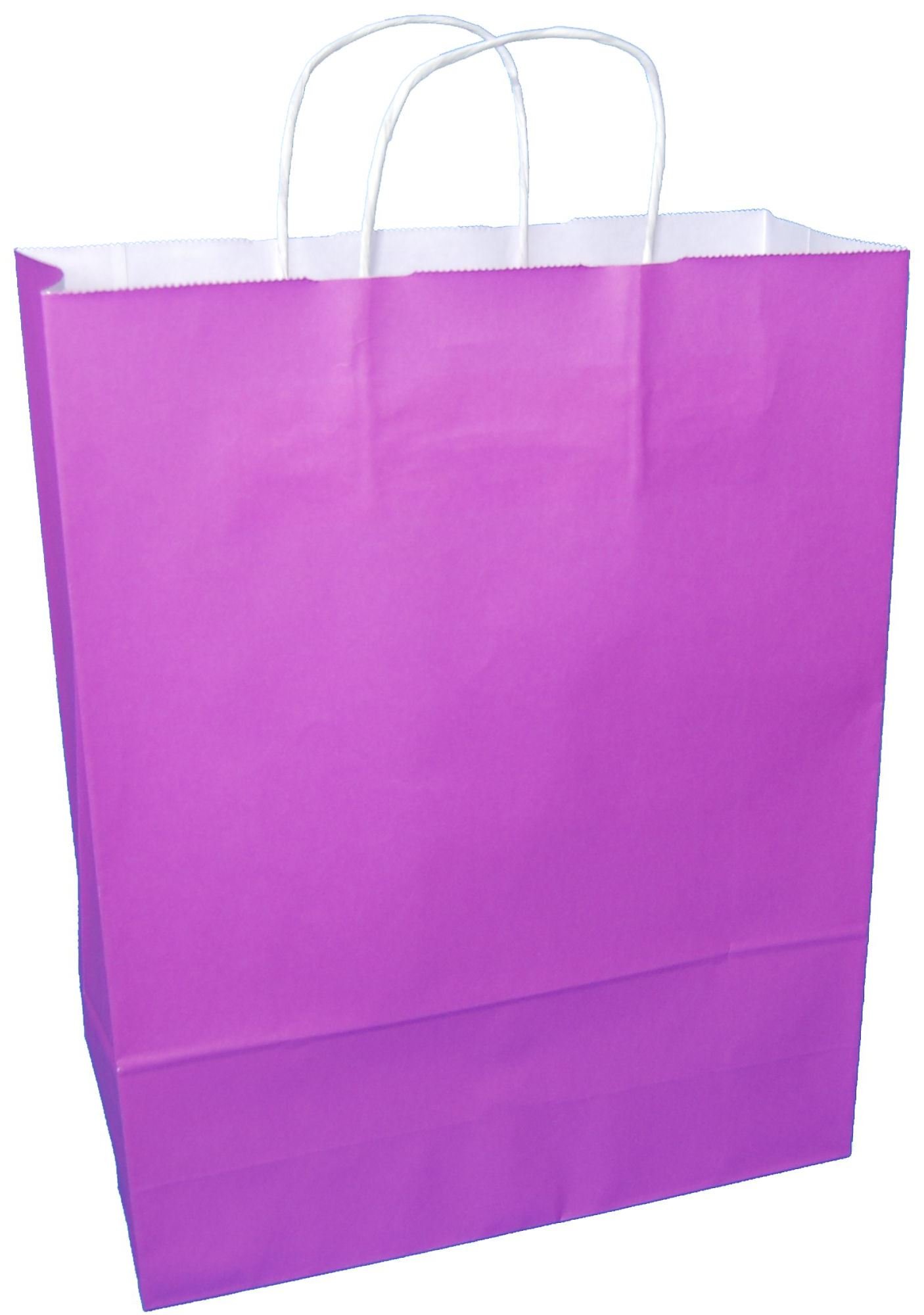 Thepaperbagstore 30 Purple Large Paper Bags With Handles, 32x12x41cm, Colourful Paper Gift Bags for Adults and Kids