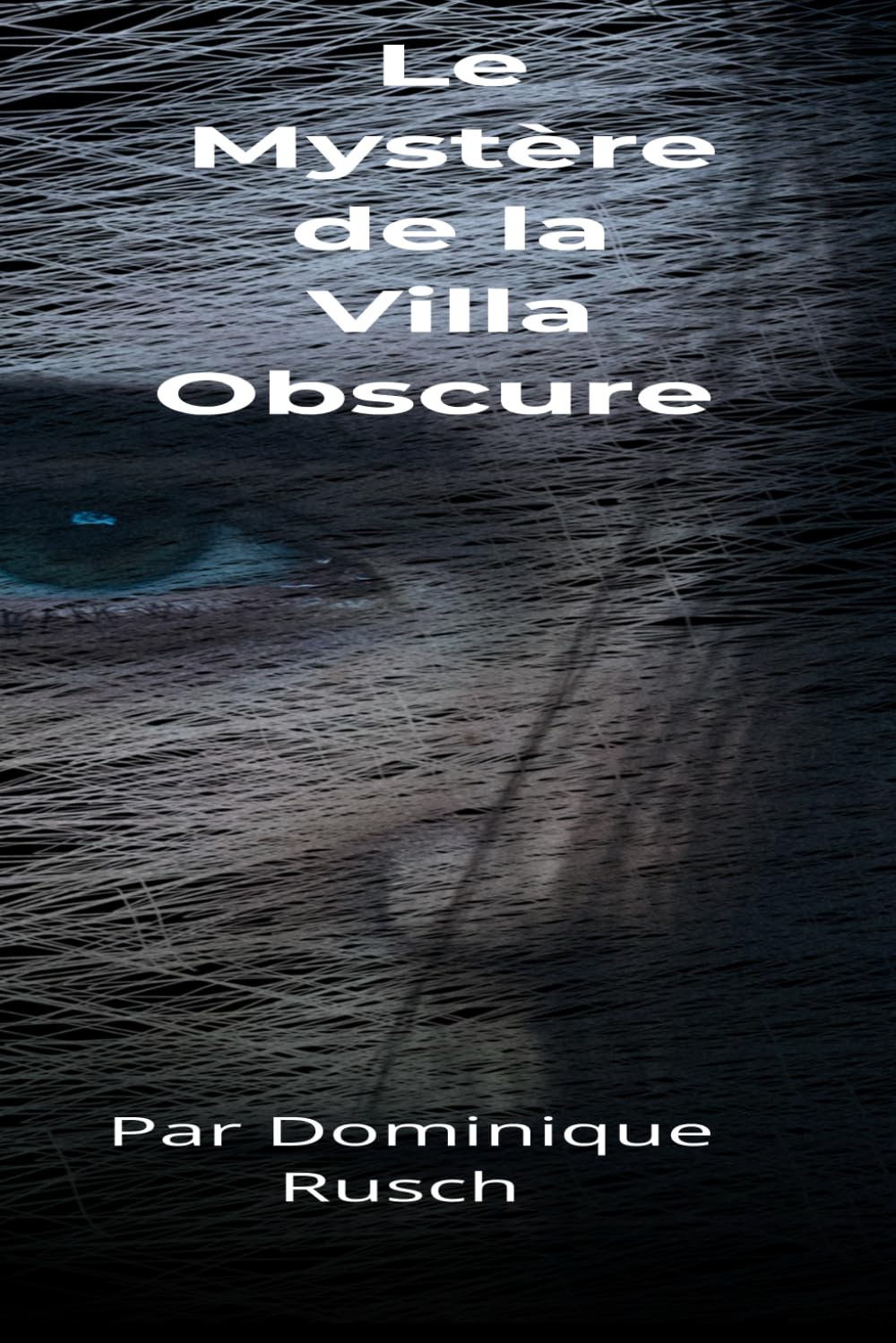 Le Mystère de la Villa Obscure