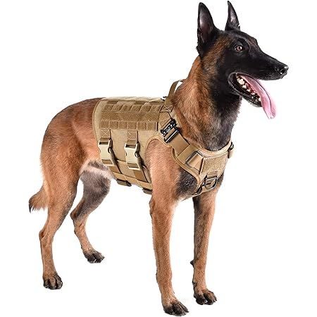 bulletproof dog harness
