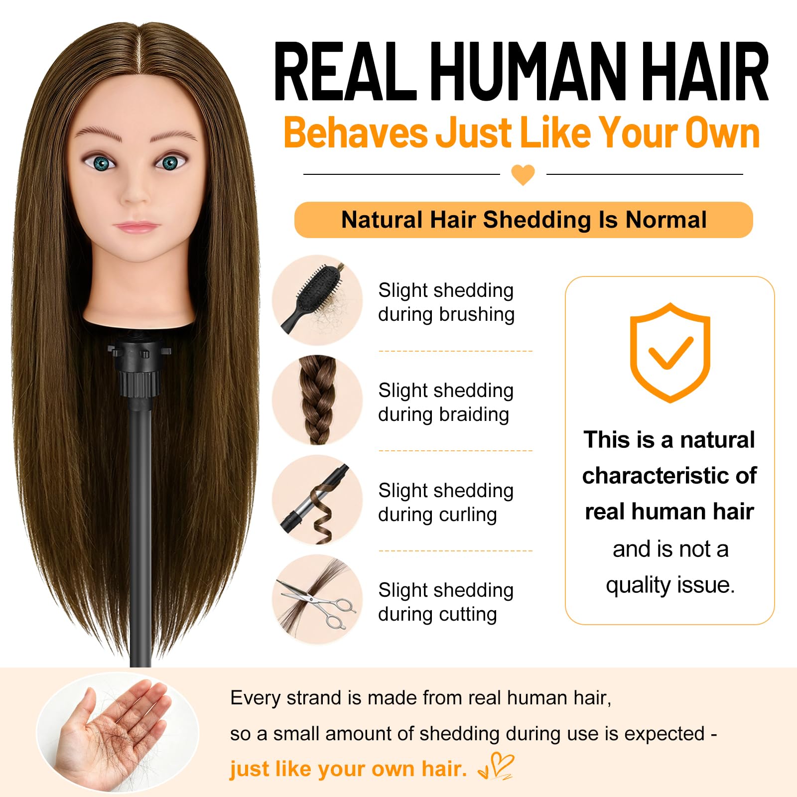 Friseur Kopf Frisierkopf 100% Echthaar 20 Zoll Trainingsköpfe für Friseure Friseurkopf Übungskopf Puppen Kopf zum Frisieren Kosmetik Puppenkopf Mannequin kopf mit Tischhalter + Haare Zubehör