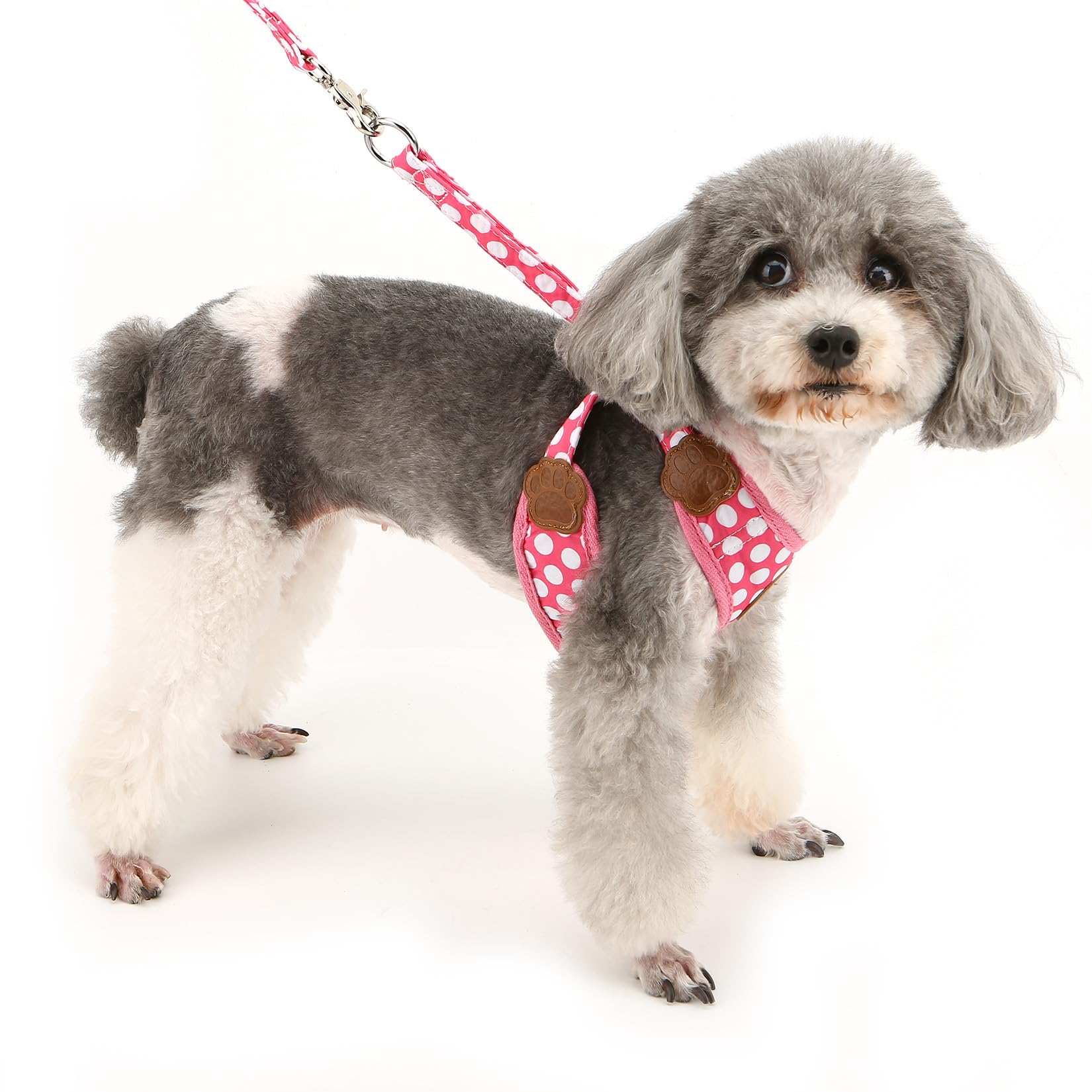 Ranphy Polka Dot Cat Harness Escape Proof Small Dog Harness and Leash Set No Pull Soft Mesh Padded Adjustable Outdoor Walking Puppy Vest,Pink,M