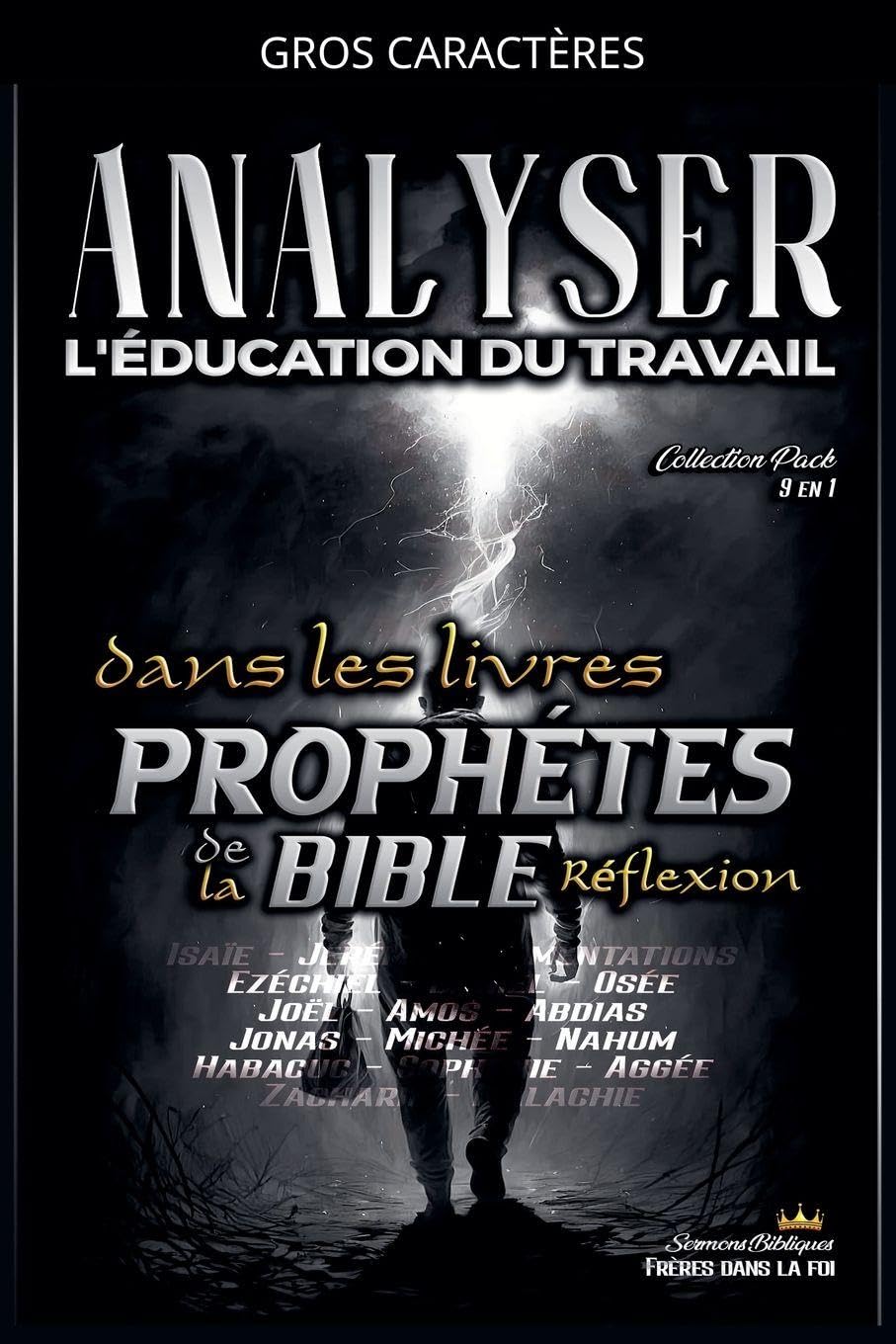 Analyser L'éducation du Travail dans les Livres Prophétiques de la Bible: Réflexion (L'Éducation Au Travail Dans La Bible)