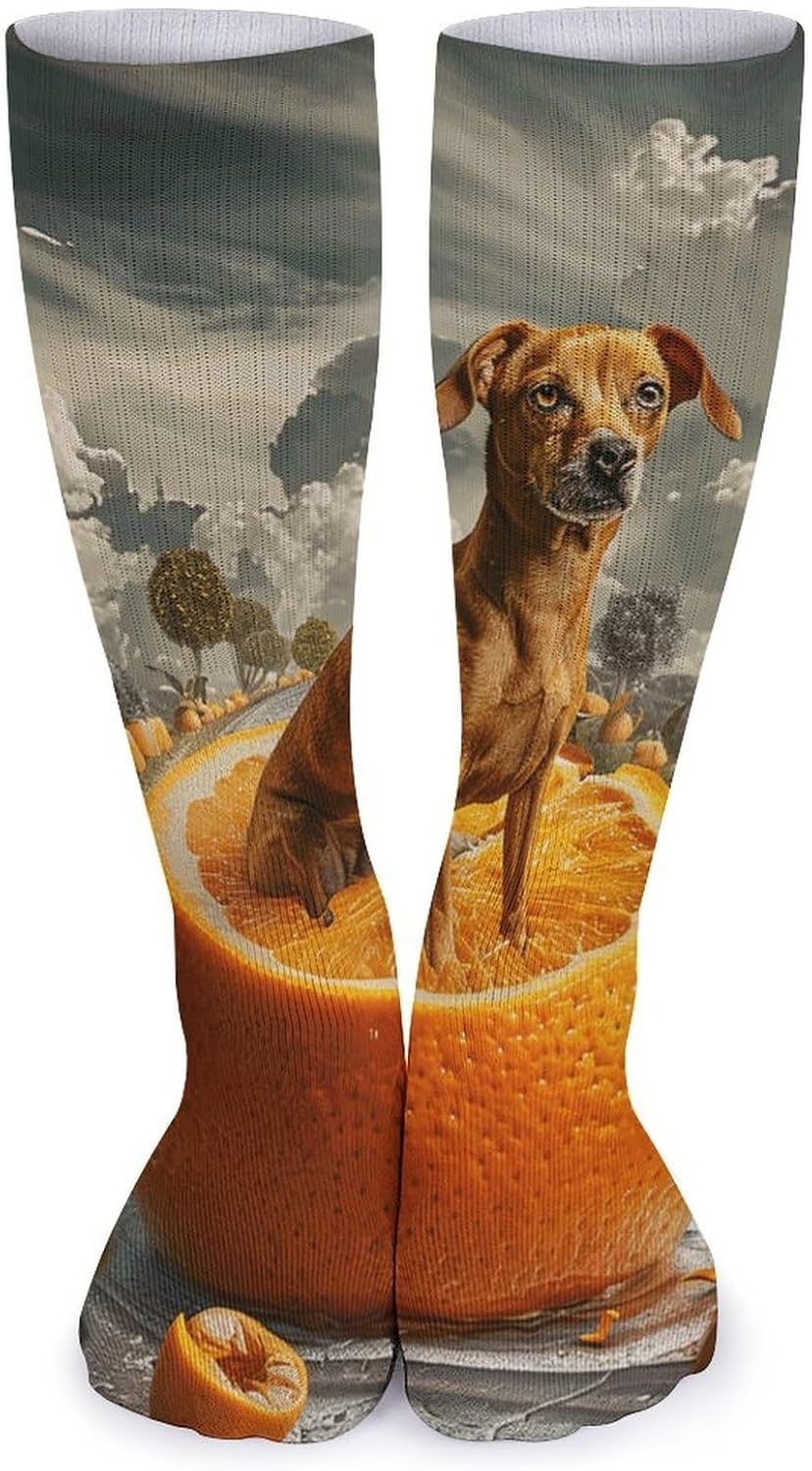 5 Pairs Knee High Socks Dalmatian Dog Long Tube Boot Seamless Toe