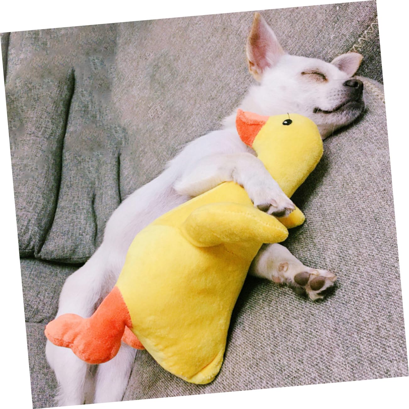 Kisangel 2 Piezas Juguetes para Perros Juguetes de Animales Juguetes interactivos para Perros Juguetes de Peluche muñecos Juguetes para Mascotas Juguetes para Cachorros Peludo Almohada stas