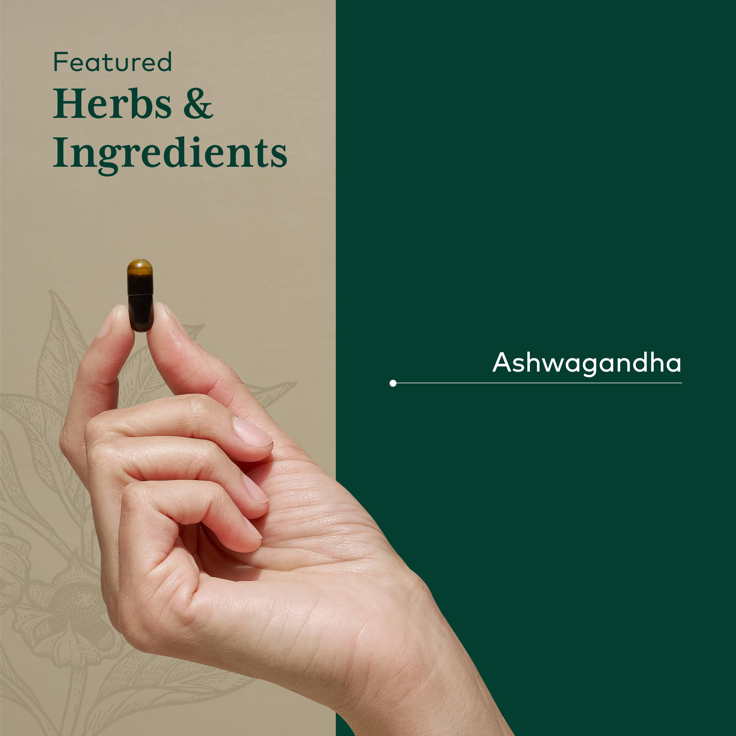 Gaia Herbs PRO Ashwagandha 700, 120 Vegan Capsules, 60 Servings — Amazon image 4