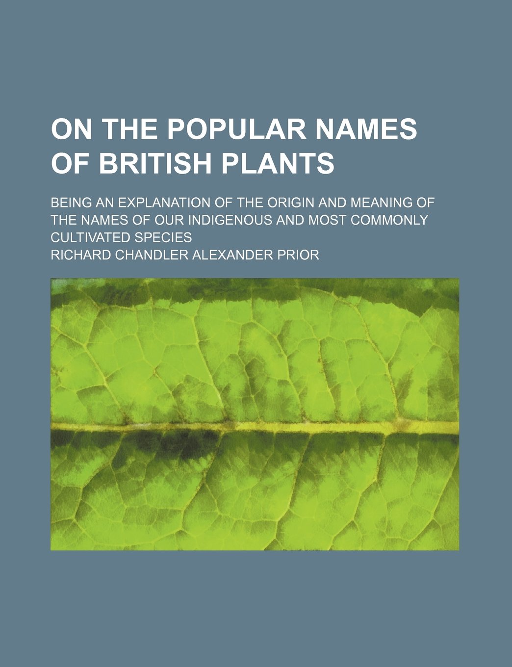 Buy On The Popular Names Of British S Being An Explanation Of The 