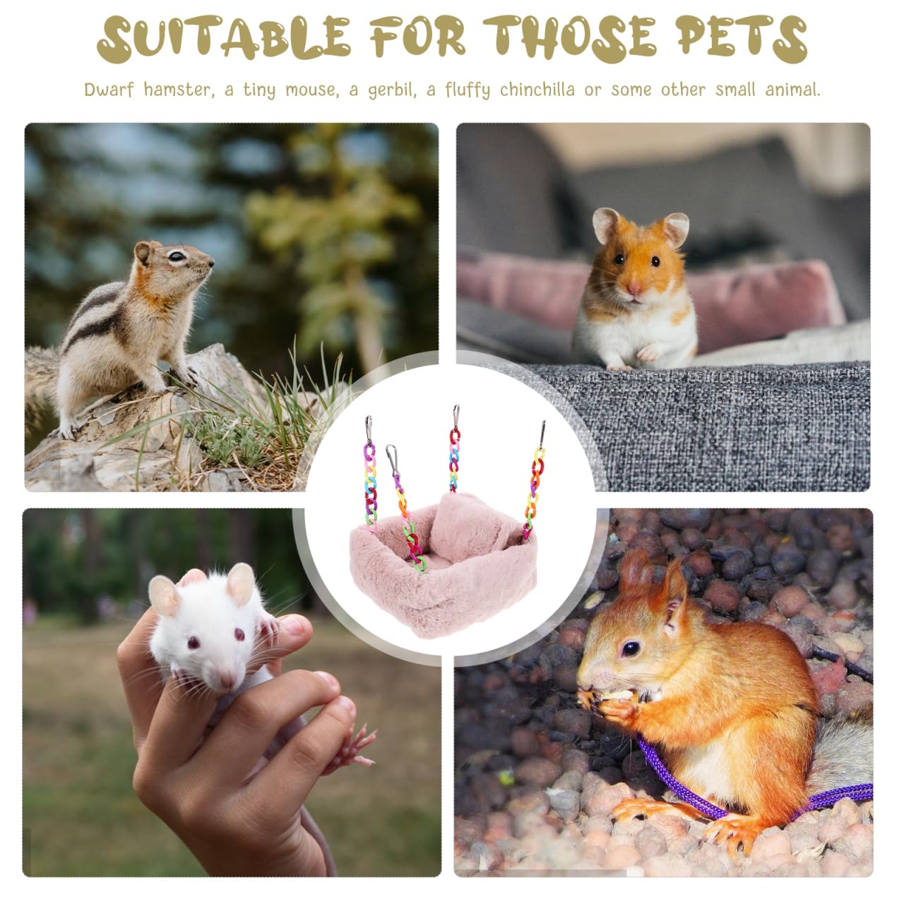 View 5