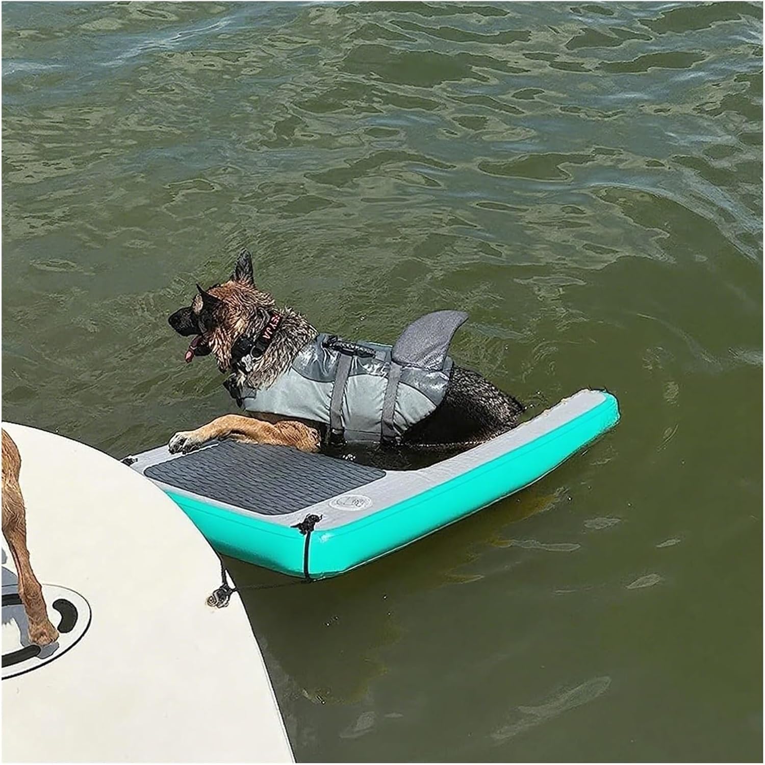 Dog Boat Ramp with 3 Step, High Buoyancy Foldable Pet Dock Platform for Small/Medium/Large Swimming Pets, Lightweight Inflatable Dog Ramp for Water/Lake/Pool(Green)