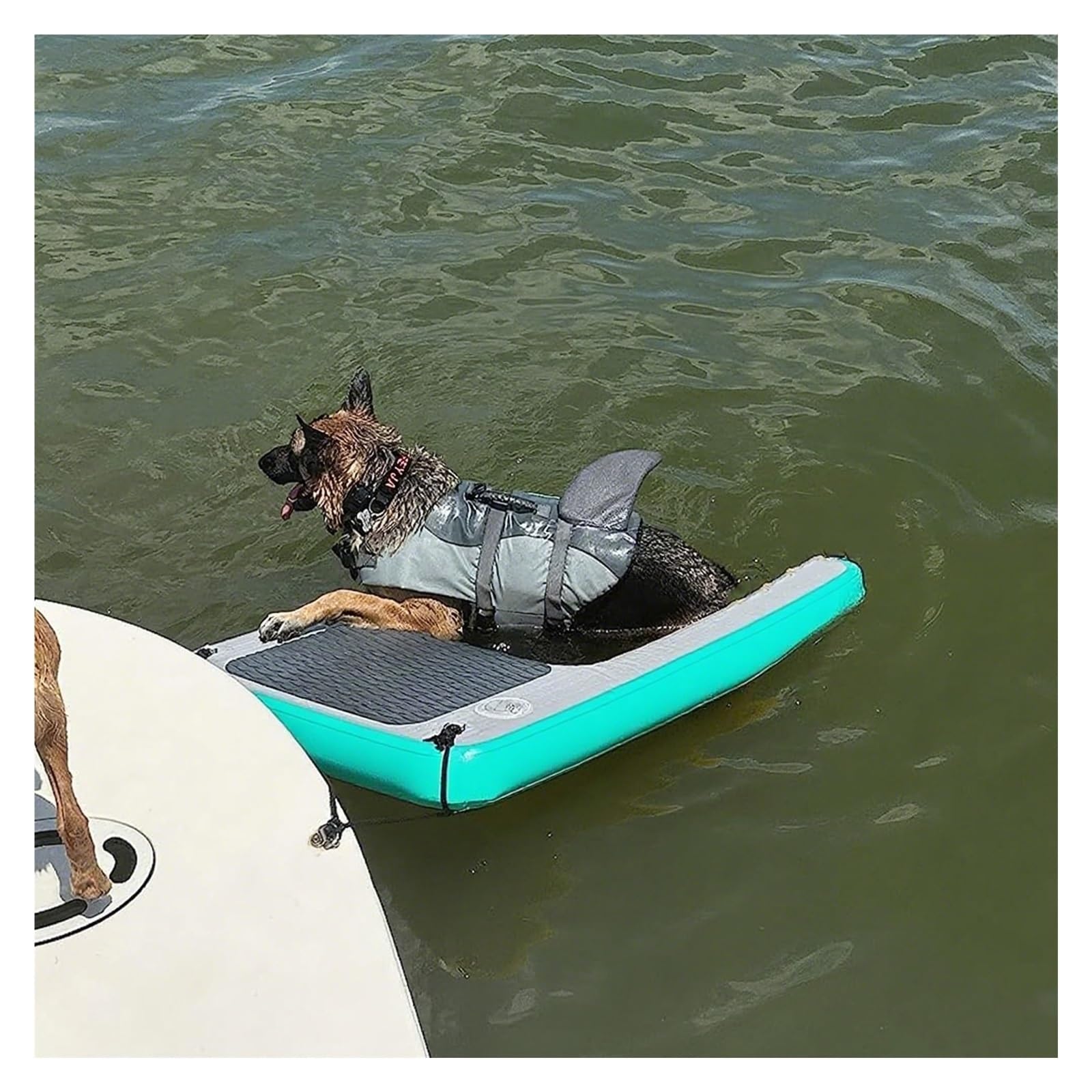 rampa gonfiabile per cani Rampa Della Barca Del Cane Con 3 Punti, Piattaforma Pieghevole Ad Alta Galleggiabilità Del Bacino Dell'animale Domestico Per Gli Animali Domestici Di Nuoto, Rampa Gonfiabile