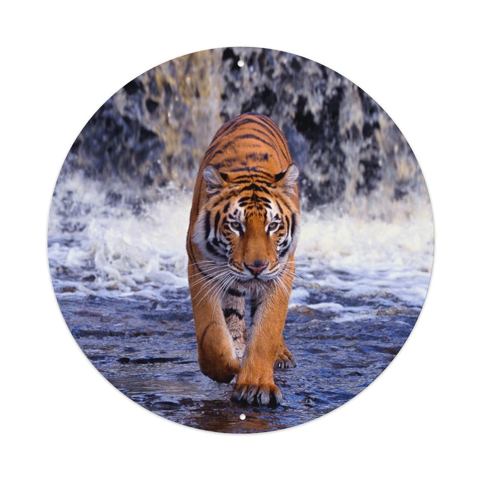 Animal Fierce Tiger Vintage Metal Tin Sign Plaque Wall Decor for Cafe, Club, Garden Round Metal Poster 8x8Inch