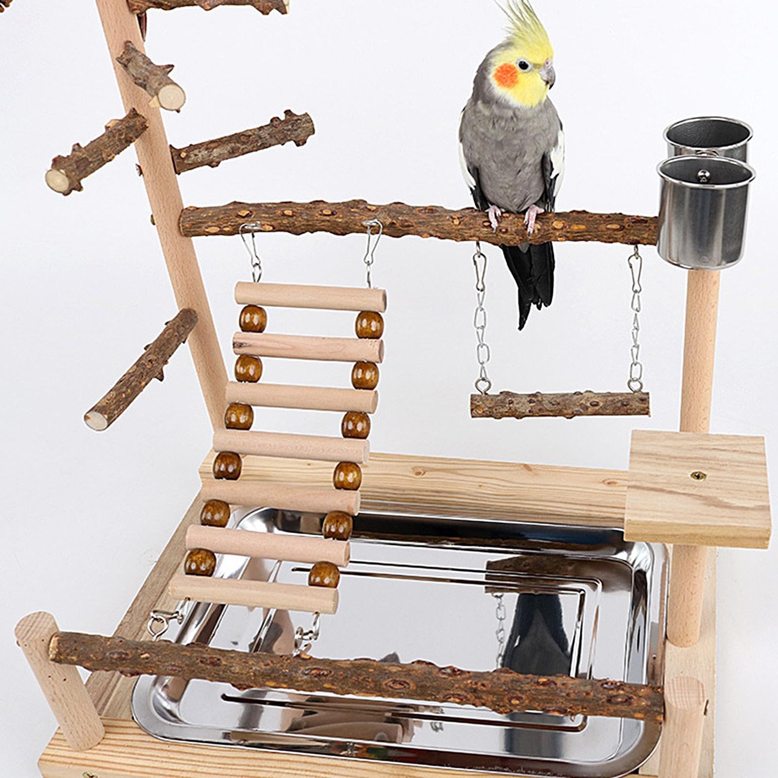 Perchoir de pour Oiseaux Espace de en Bois