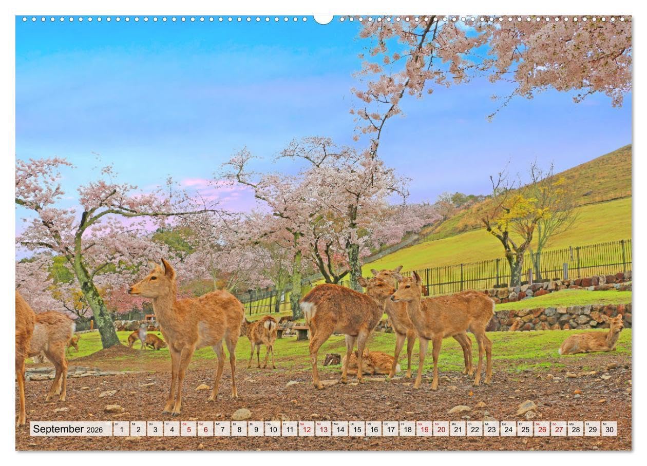 Japan das Land der aufgehenden Sonne (hochwertiger Premium Wandkalender 2026 DIN A2 quer), Kunstdruck in Hochglanz: Japan - zwischen Tradition und Moderne. (CALVENDO Orte)