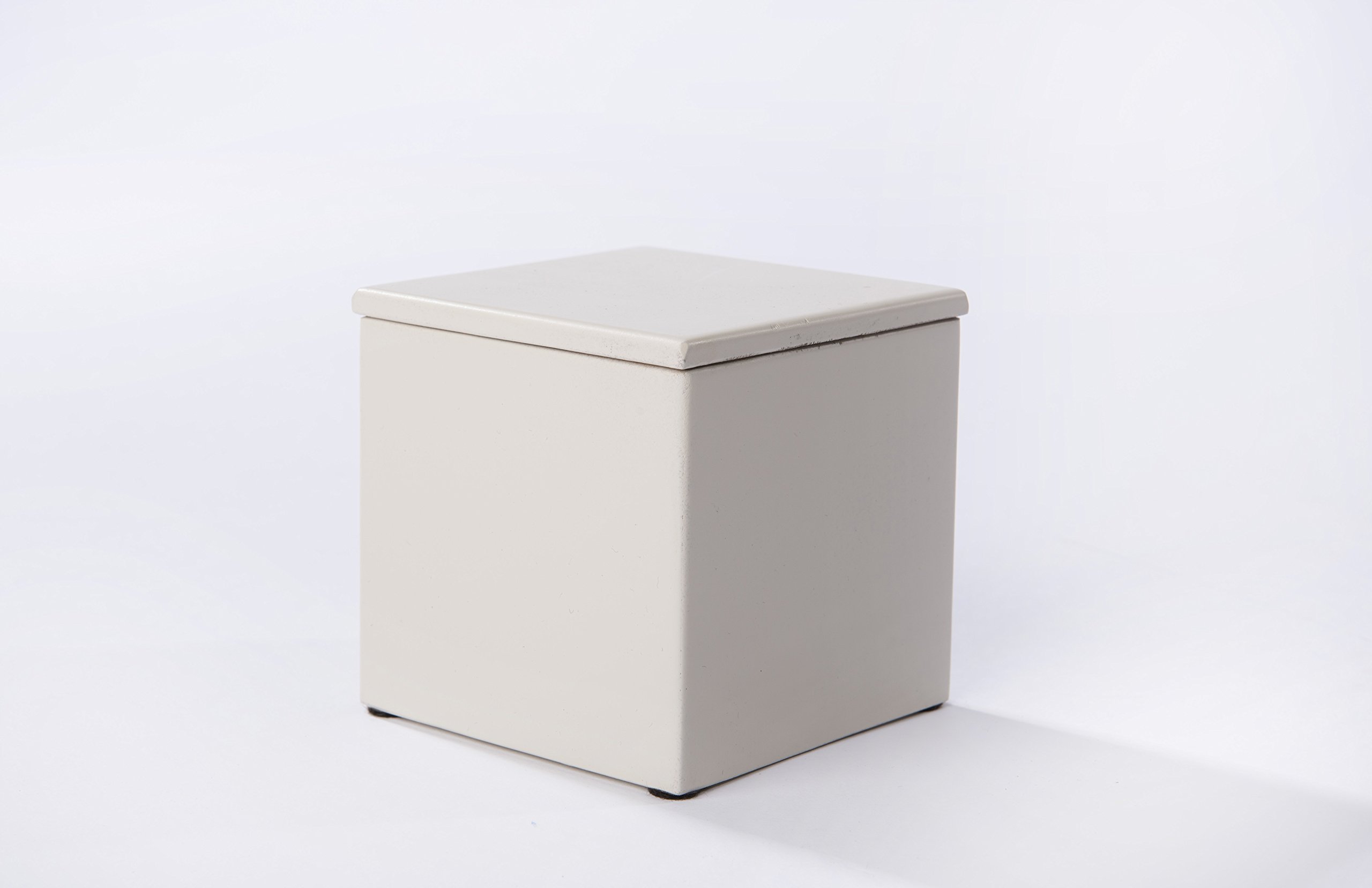 LifeSong Milestones Cremation Urns for Pets - Memorial Keepsake Box for Dogs and Cats - A Heart of Gold Stopped Beating Four Little Paws at Rest Holds Small Portion of Ashes - (Ivory)