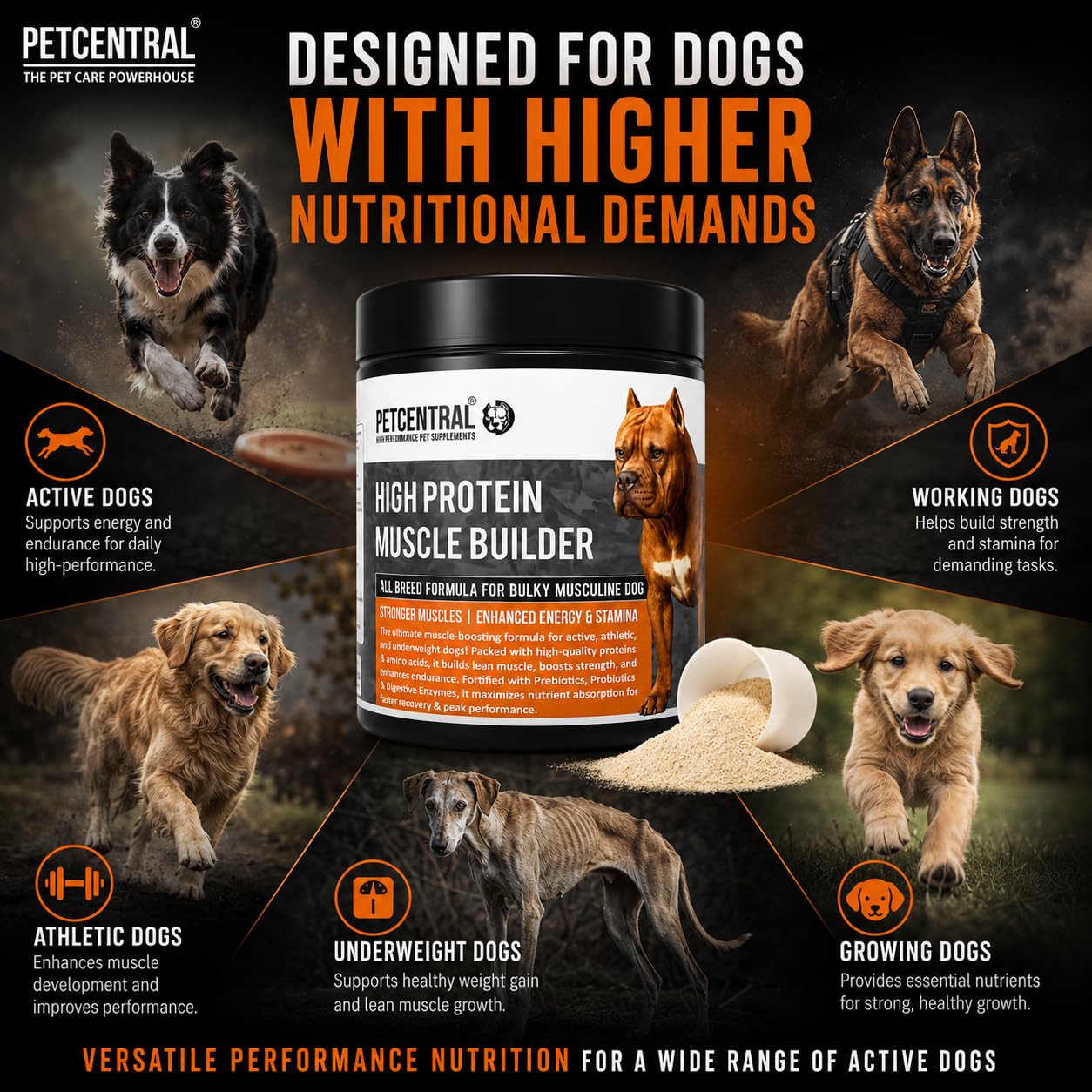 High-Protein Muscle Builder for Dogs 450g | Whey Protein & Amino Acid Supplement Powder | Supports Lean Muscle, Strength, Stamina & Recovery | Chicken Flavour | for Puppies & Adult Dogs — Amazon image 6