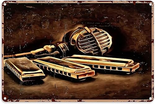 Pzecaru Letrero de metal para amantes de la armónica, arte de pared para niños, pintura de armónica, instrumento musical, decoración de estaño,