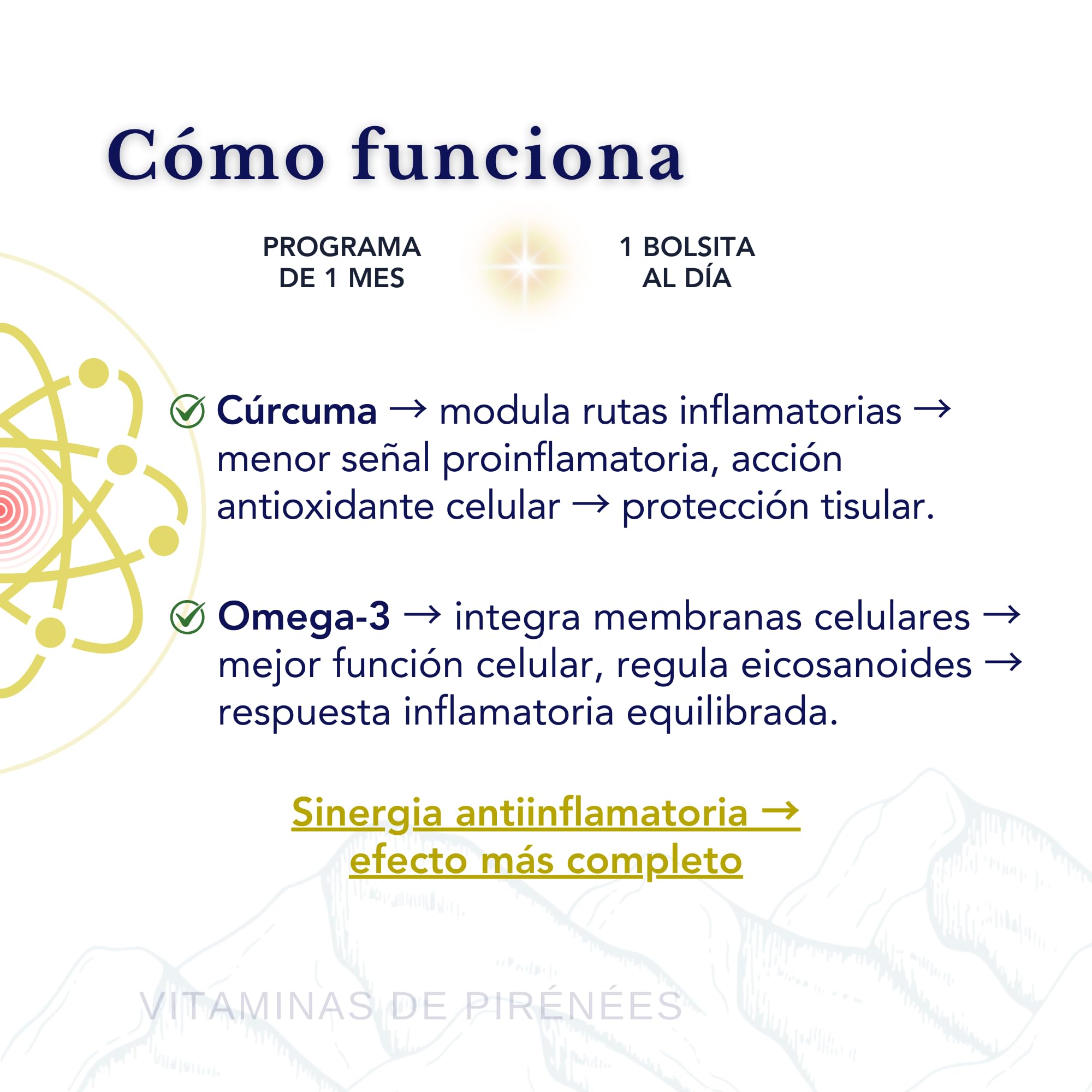 Omega 3 TG y Curcuma con Jengibre y Pimienta negra – SmartAbsorb™ | Fórmula esencial para apoyo inmunitario. Reduce la inflamación y ayuda al cuerpo a mantenerse en equilibrioI | 56 Dosis Diarias