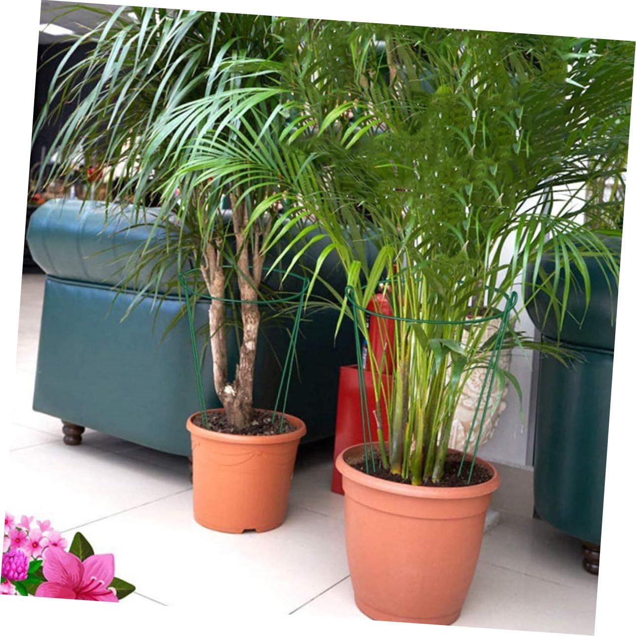 Lot de 6 Tuteurs pour Plantes en Fer Vert, Demi-Rond, Réutilisables, pour Guider Les Tiges et Soutenir Les Plantes Grimpantes au Jardin
