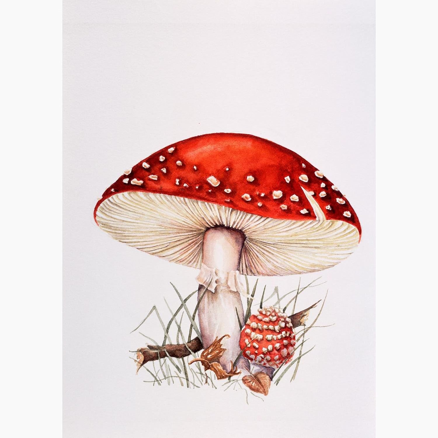CafePress Fly Agaric Mushrooms Greeting Cards Greeting Card (20-pack), Note Card with Blank Inside, Birthday Card Matte