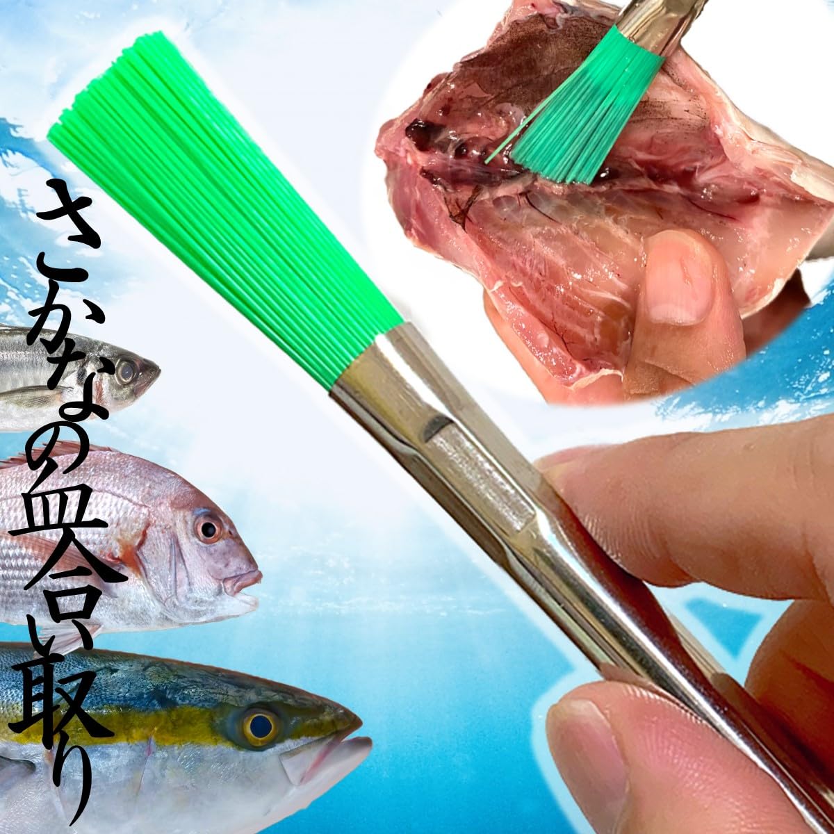ReTORUE Sasara Fish Blood Line Remover Brush, Strong Stiffness, Easy to Clean, 23 cm Brush, Blood Line Sasara, Kitchen Brush : Home & Kitchen