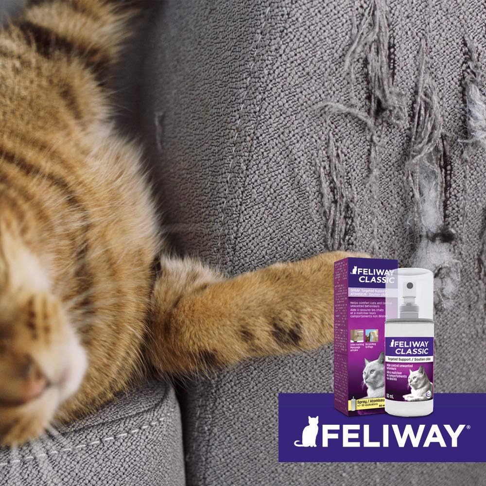 feliway spray amazon