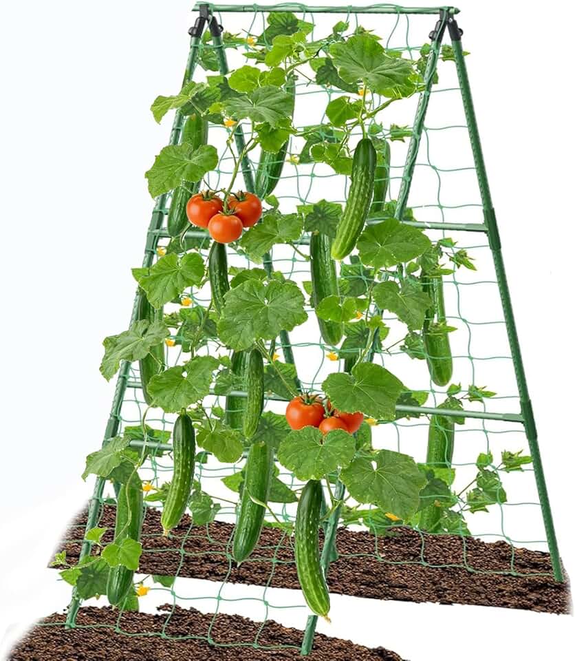 Cucumber Trellis Garden Trellis Arch Trellis, Tall Trellis for Climbing Plants Support Vegetable Peas Fruit Vine Outdoor A-Frame Trellis Suit for Small Plant not Heavy