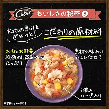 Amazon.co.jp: シーザー パウチ 成犬用 自然素材レシピ 無添加 60g×12