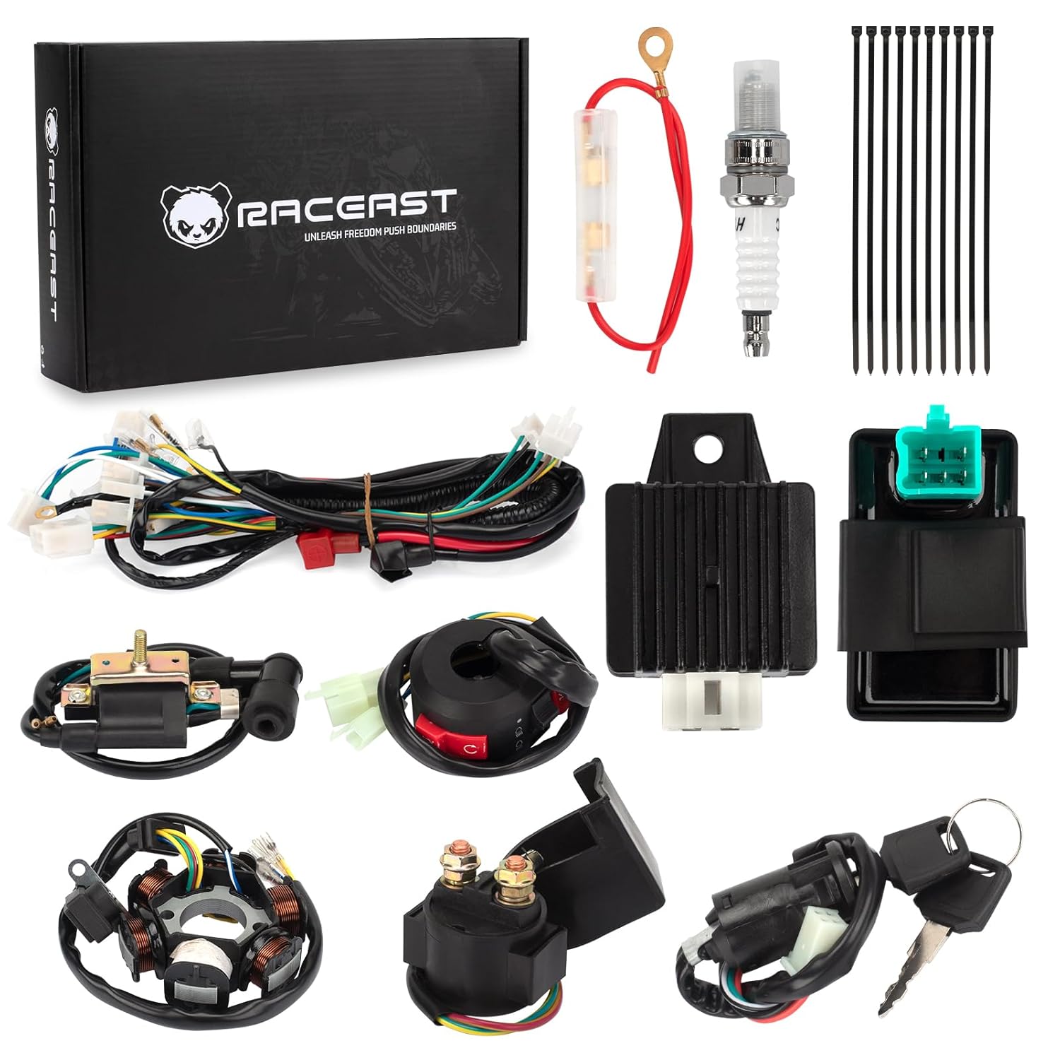 Complete Wiring Harness Kit for Tao tao 50cc 70cc 90cc 110cc 125cc ATV Quad Electric 4 Wheeler Stroke Parts Go Kart with 6-Pole Stator CDI Spark Plug Relay