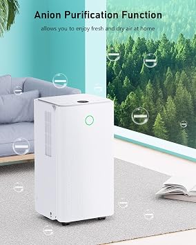 Dehumidifier 12L, Dehumidifiers for Home Damp with 1-24H Auto-off Timer, Humidity Setting, Drainage Hose, Quiet Dehumidifiers for Laundry Drying, Ideal for Bedroom/Basement, Auto Defrost, Low Energy