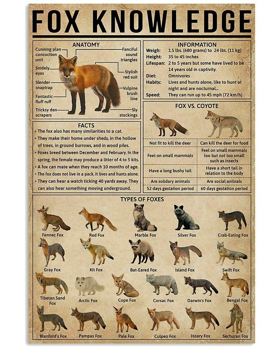 Tnnd Earth Tones Fox Knowledge Art Poster For Indoor Home Decoration Art Wall Decor Metal Sign Poster 8X12 Inches