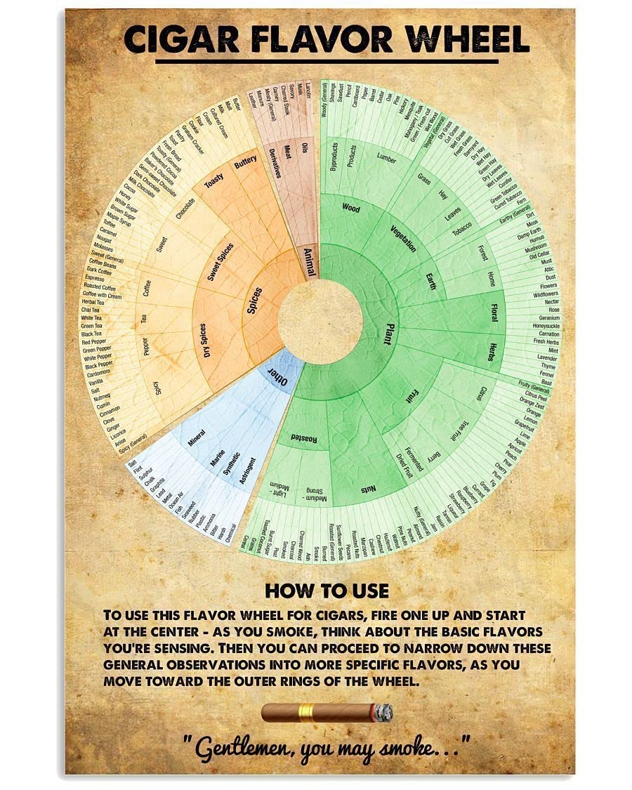 rayprint Cigar Flavor Wheel Retro Metal Signs How To Use Guide Knowledge Posters Home Room Bar Club Wall Decor Cigar Infographic Collectible Plaque 8x12 Inches