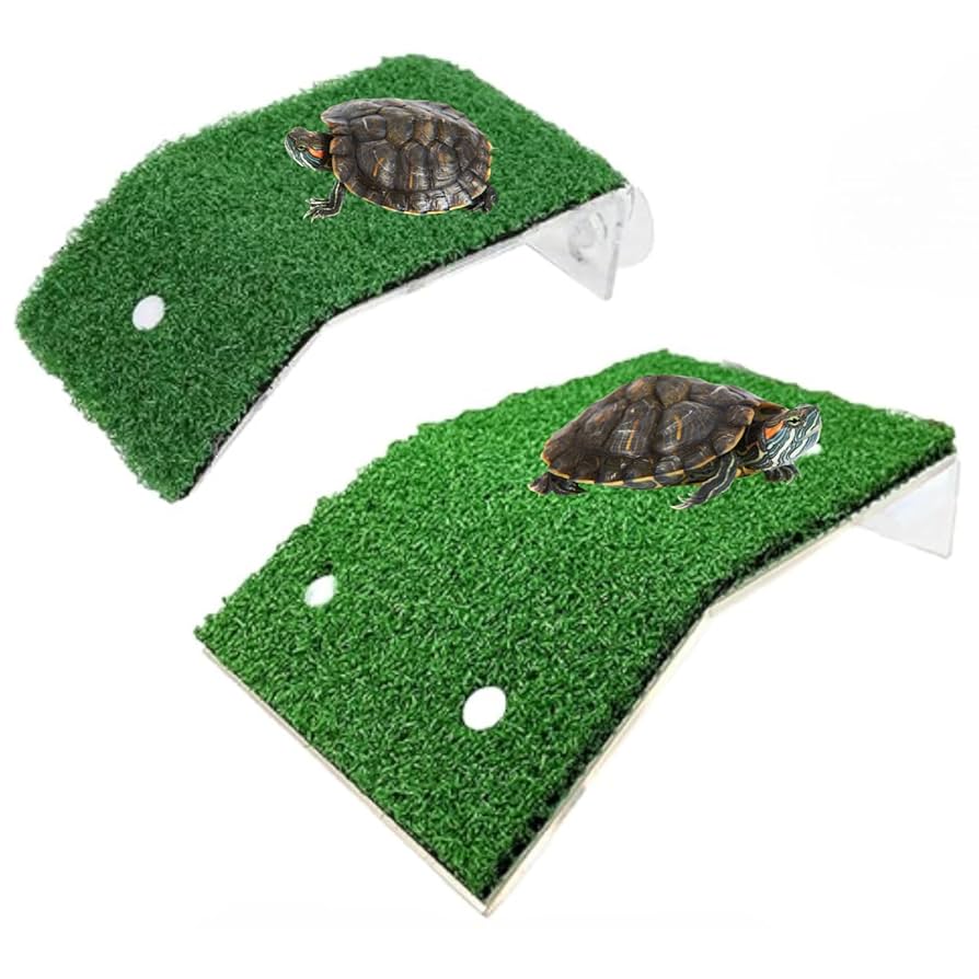 【@かめさん】専用 Qoo10] 新品登場 亀 水槽 カメ 飼育ケース 6