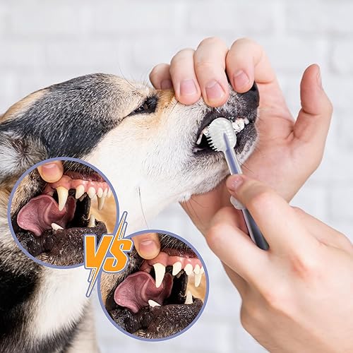 Miniatura 3 de FOVRLZSE Kit de cepillo de dientes para mascotas, cepillo de dientes de silicona 360 para perrogato con raspador de lengua (3 piezas, azul)