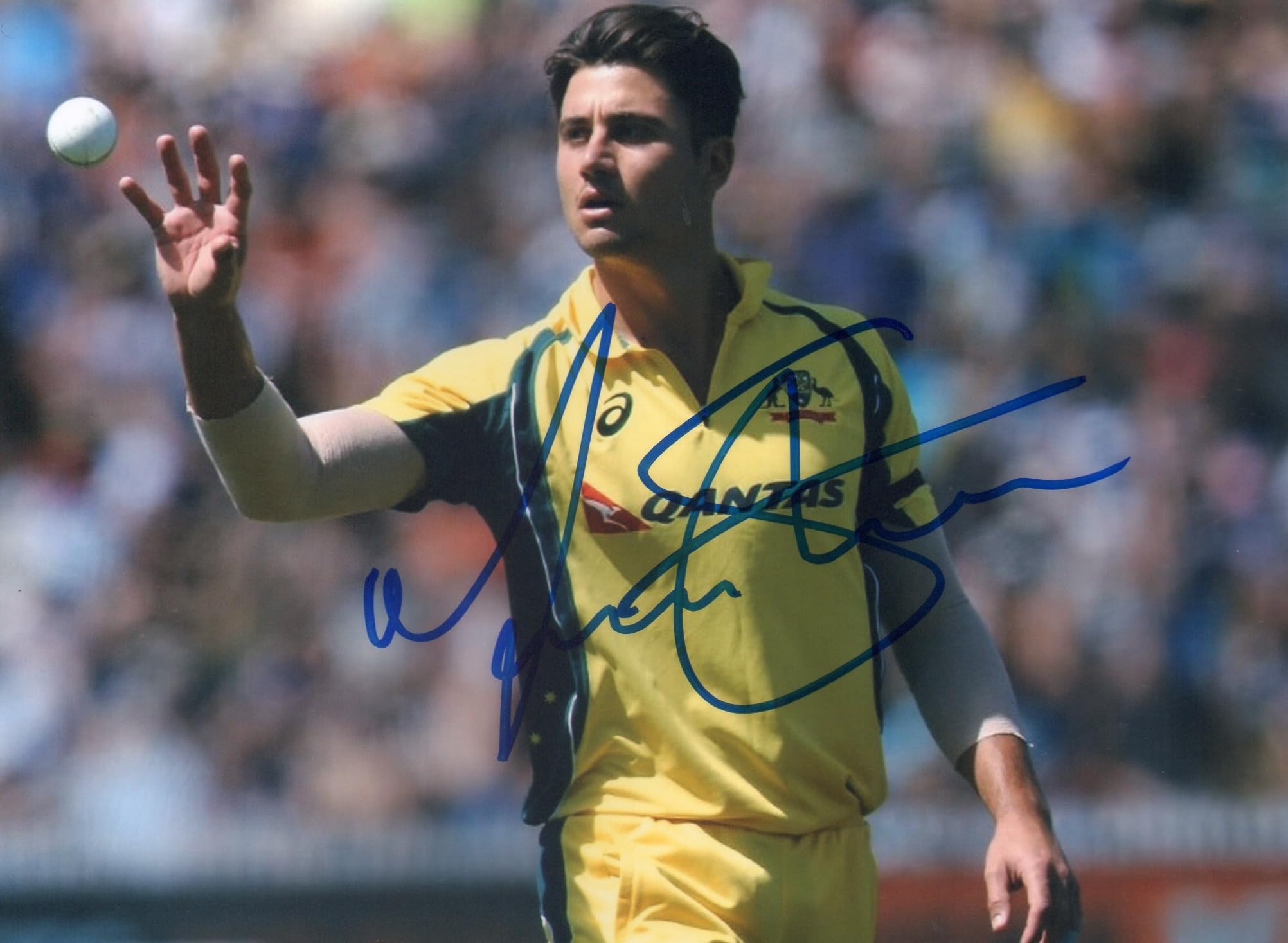 5x7 Inches Original Autographed Photo of Australian Cricketer Marcus Stoinis.-image-37