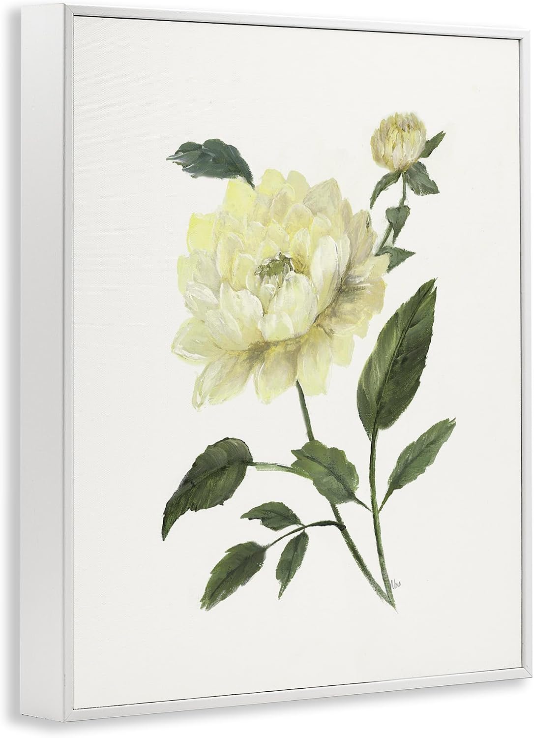 Cream Garden Peony Botanical, 16 x 20 Inch Framed Giclée Print | Stupell Industries · By Nan · Ready to hang · Great for family room or guest room · Made in USA