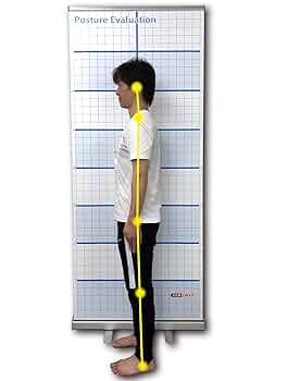 プリップシステム（PREP）　姿勢改善教育プロモートシステム Amazon.co.jp: 姿勢矯正サ 3Dフィット設計 ソフトで通気性の良い