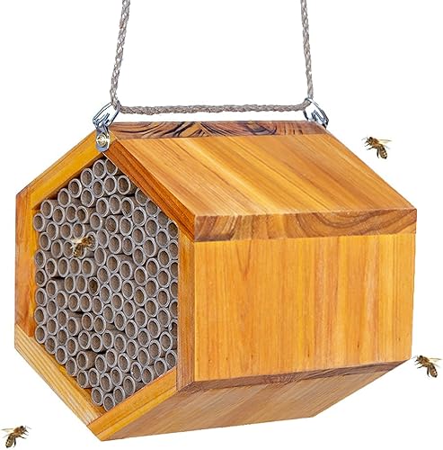 Mason Bee House - Colmena de abejas de madera natural hecha a mano recubierta con cera para una larga vida útil y resistente al agua - Atrae