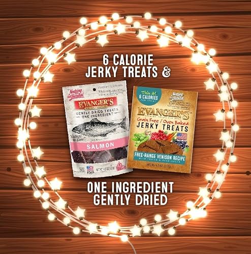 Evangers Freeze Dried Treats - Salmon - 4.6 Oz #TOP7