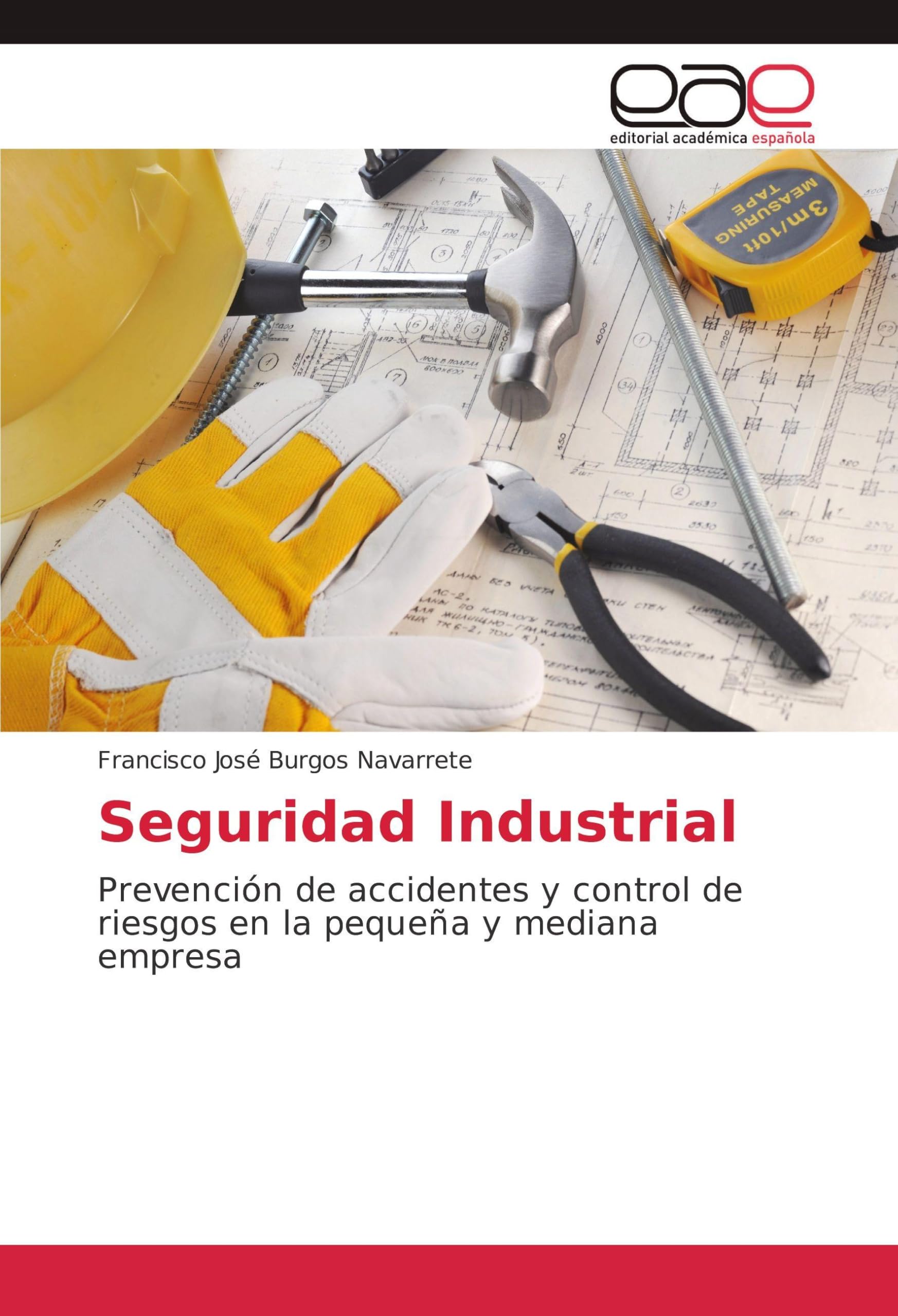 Seguridad Industrial: Prevención de accidentes y control de riesgos en la pequeña y mediana empresa