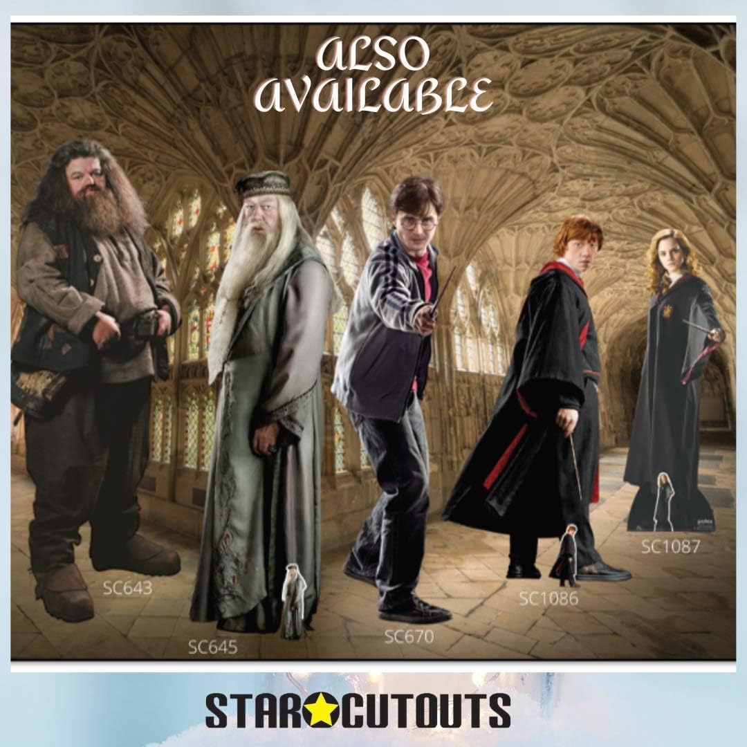 STAR CUTOUTS from The Official Harry Potter Books Mini Cardboard Cutout of Professor Snape Alan Rickman 91cm Tall