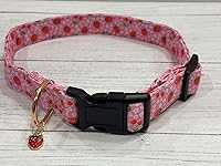 Review Image by ME in AZ ME in AZ