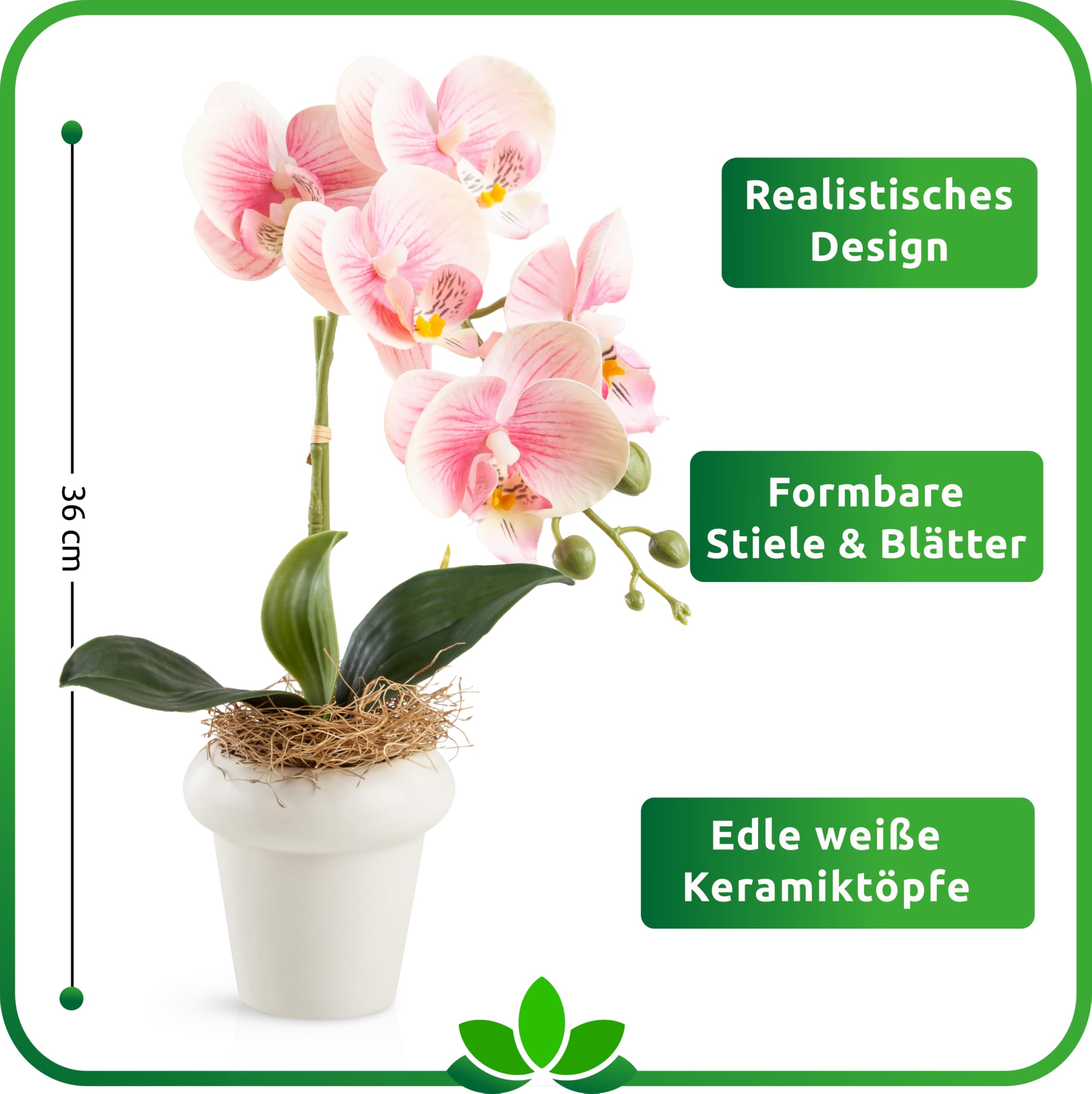 PASCH Orchidées artificielles dans des pots en céramique brillante (36 cm) | Fleurs artificielles en pot | Fleurs artificielles comme de vraies orchidées artificielles en pot (lot de 3)