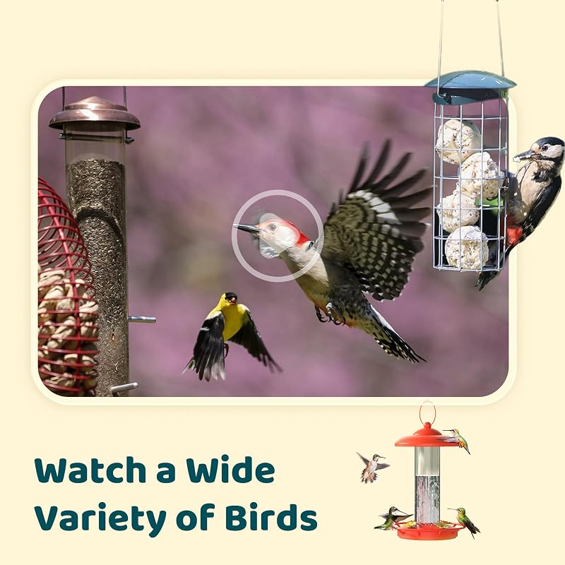 NETVUE Birdfy Intelligens Madárkamera Napelem és Állítható Állvánnyal