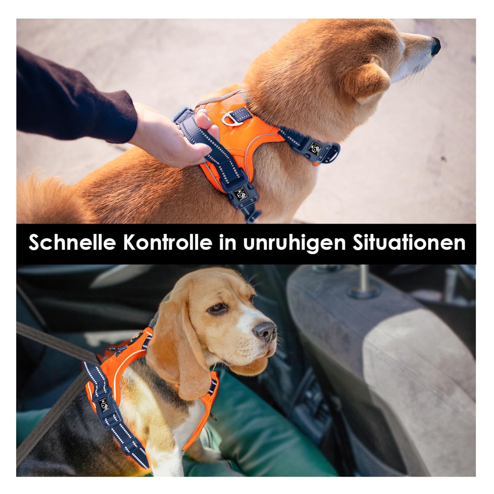 PHOEPET No Pull Hundewestengeschirr, verstellbares, reflektierendes, Nicht erstickendes Haustiergeschirr mit einfach zu bedienendem Griff und Metallklammern für Hunde(Orange Basis & Blaue Träger,S)